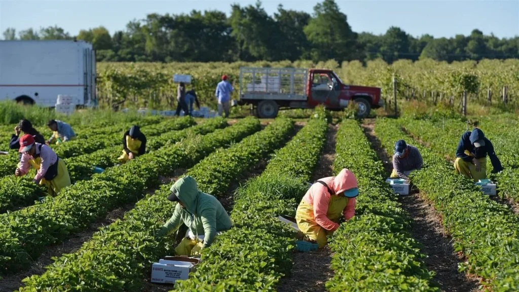 The Role of Life Farm in Promoting Eco-Friendly Farming Practices